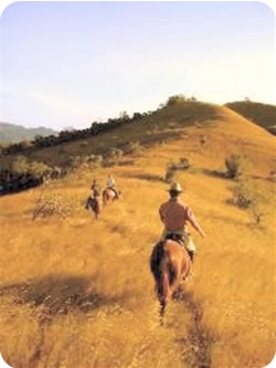 A Hillside Ride