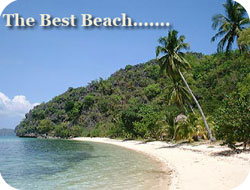 The Best Beach